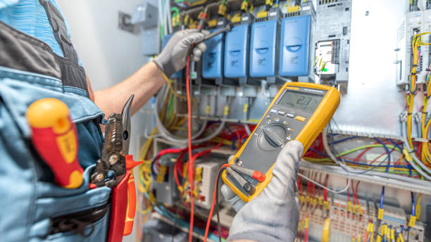 Best Electric Panel Repair  in Badieville, LA