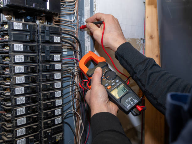 Best Electrical System Inspection  in Badieville, LA